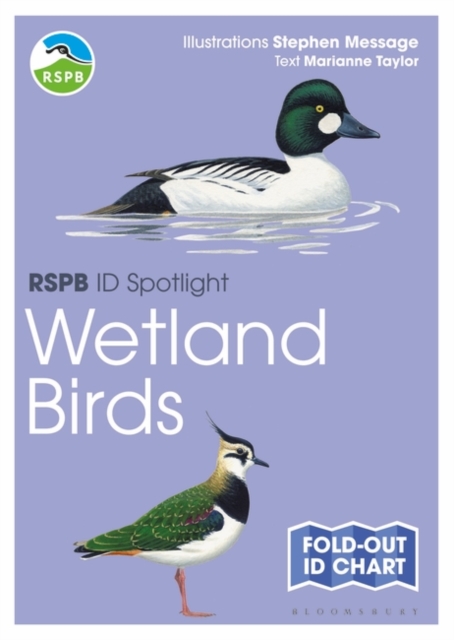 RSPB ID Spotlight - Wetland Birds, Fold-out book or chart Book