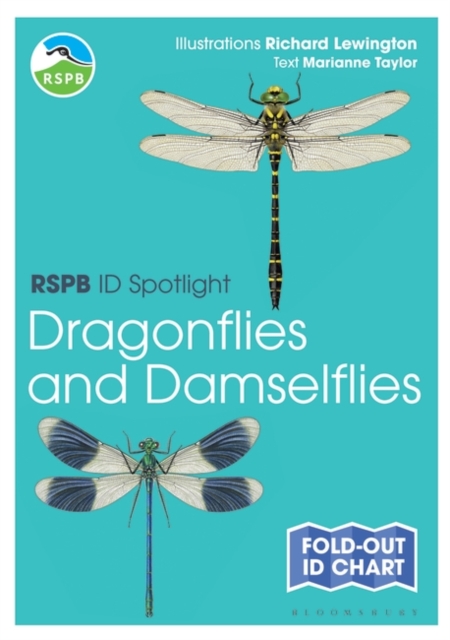 RSPB ID Spotlight - Dragonflies and Damselflies, Fold-out book or chart Book