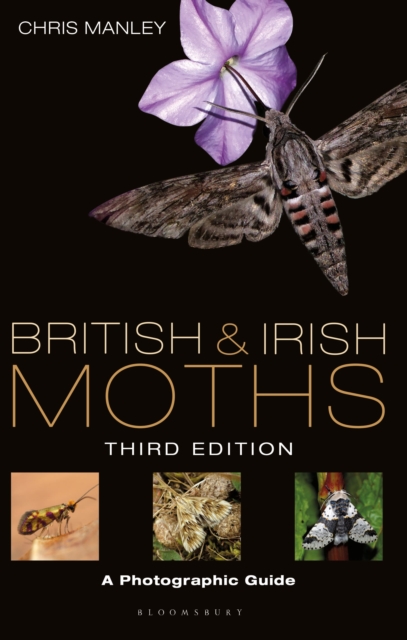 British and Irish Moths: Third Edition : A Photographic Guide, Hardback Book
