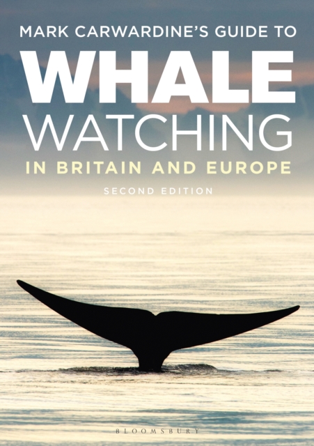 Mark Carwardine's Guide To Whale Watching In Britain And Europe, Paperback / softback Book