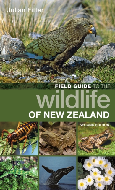 Field Guide to the Wildlife of New Zealand, EPUB eBook