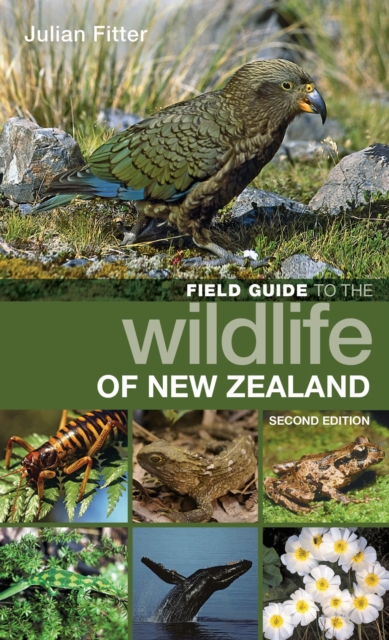 Field Guide to the Wildlife of New Zealand, Paperback / softback Book