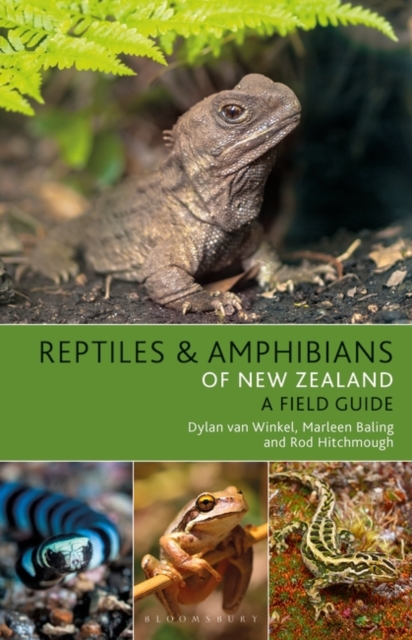 Reptiles and Amphibians of New Zealand, PDF eBook