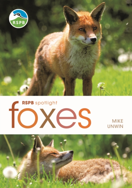 RSPB Spotlight: Foxes, Paperback / softback Book