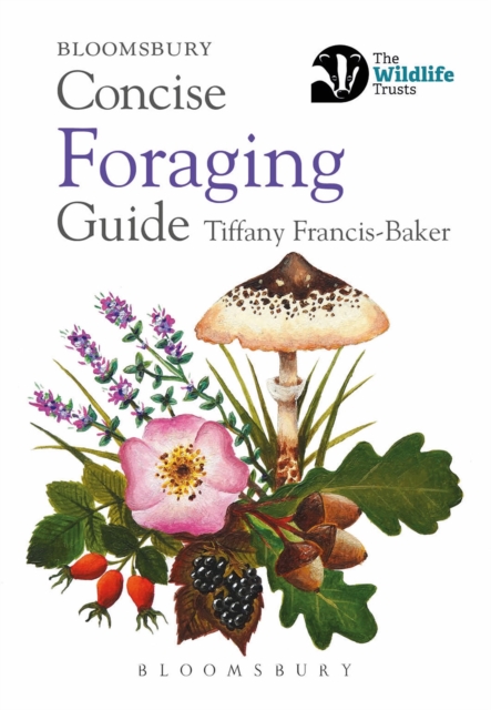 Concise Foraging Guide, Paperback / softback Book