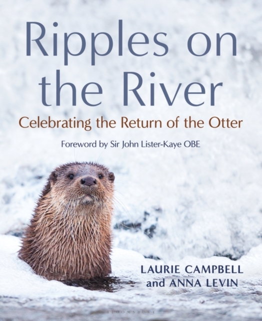 Ripples on the River : Celebrating the Return of the Otter, EPUB eBook