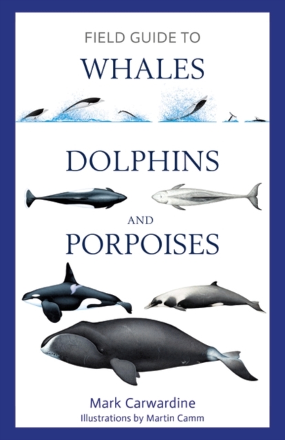 Field Guide to Whales, Dolphins and Porpoises, PDF eBook
