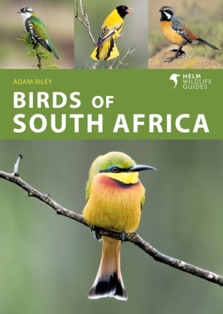 Birds of South Africa, Paperback / softback Book