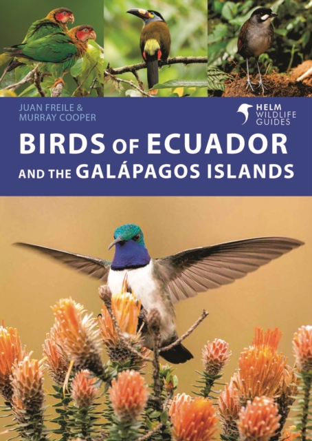 Birds of Ecuador and the Galapagos Islands, Paperback / softback Book
