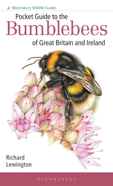 Pocket Guide to the Bumblebees of Great Britain and Ireland, EPUB eBook