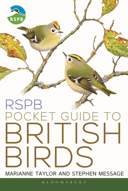 RSPB Pocket Guide to British Birds, Paperback / softback Book