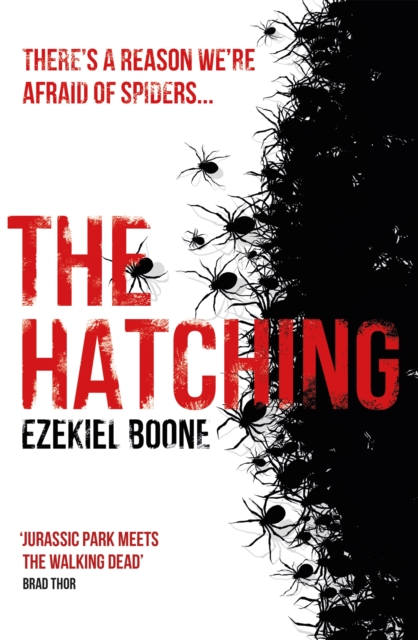 The Hatching, Paperback / softback Book