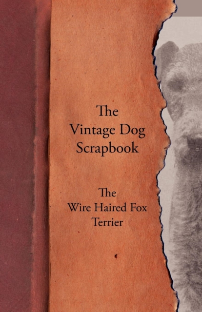 The Vintage Dog Scrapbook - The Wire Haired Fox Terrier, EPUB eBook