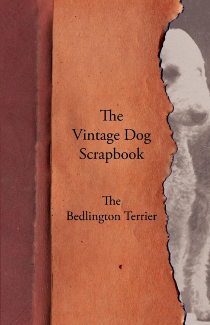 The Vintage Dog Scrapbook - The Bedlington Terrier, EPUB eBook