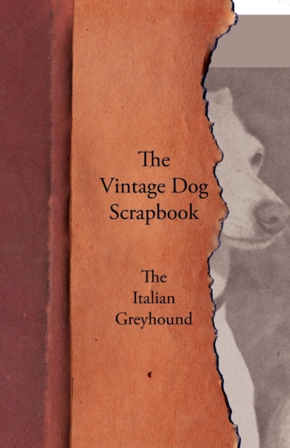 The Vintage Dog Scrapbook - The Italian Greyhound, EPUB eBook