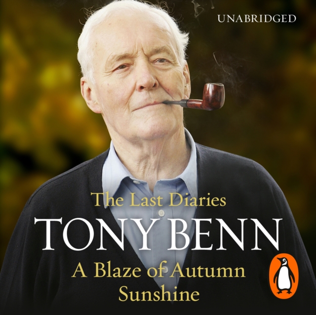 A Blaze of Autumn Sunshine : The Last Diaries, eAudiobook MP3 eaudioBook