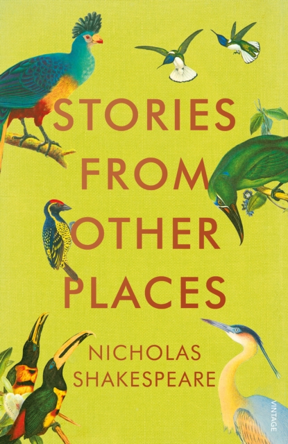 Stories from Other Places, EPUB eBook