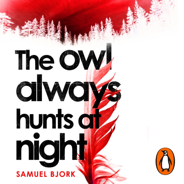 The Owl Always Hunts at Night : (Munch and Kruger Book 2), eAudiobook MP3 eaudioBook