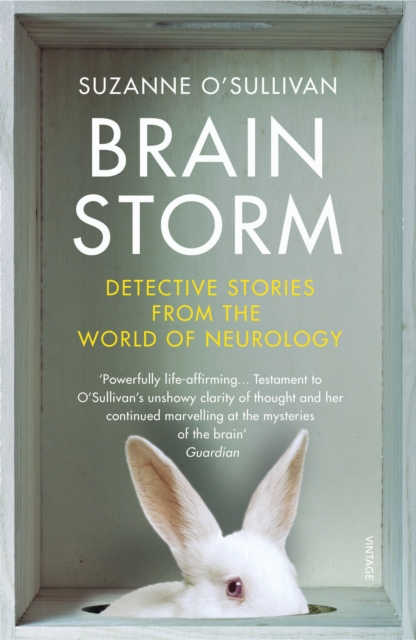 Brainstorm : Detective Stories From the World of Neurology, EPUB eBook