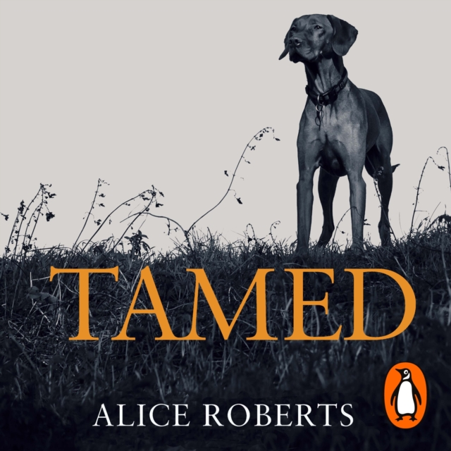 Tamed : Ten Species that Changed our World, eAudiobook MP3 eaudioBook