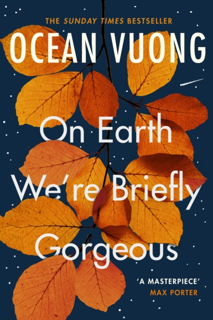 On Earth We're Briefly Gorgeous :  A masterpiece    Max Porter, EPUB eBook