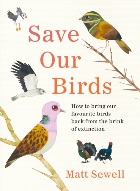 Save Our Birds : How to bring our favourite birds back from the brink of extinction, EPUB eBook