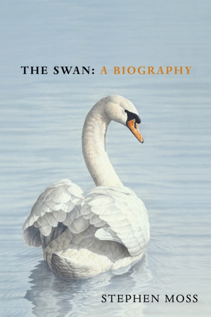 The Swan : A Biography   The must-have gift for bird lovers this Christmas, EPUB eBook