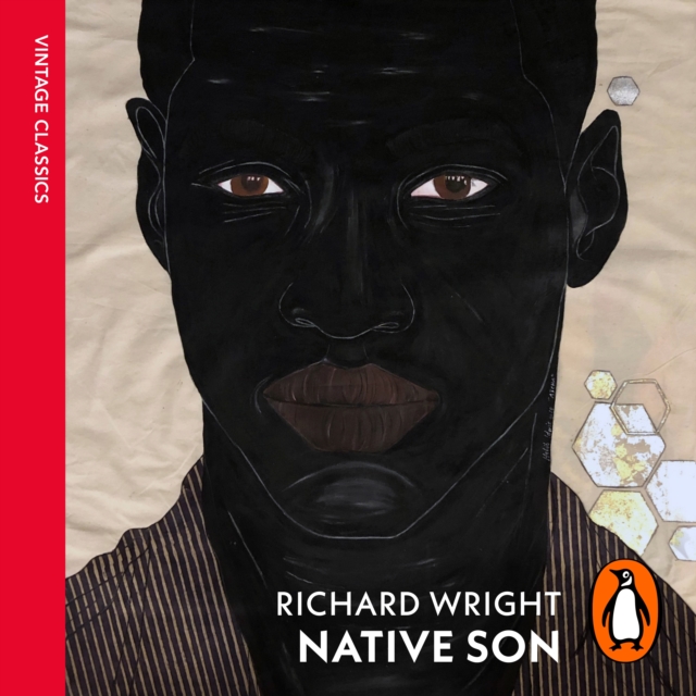 Native Son, eAudiobook MP3 eaudioBook