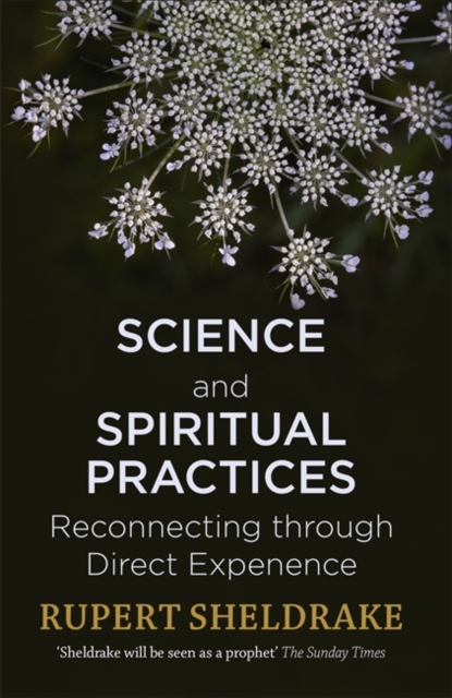 Science and Spiritual Practices : Reconnecting through direct experience, Paperback / softback Book