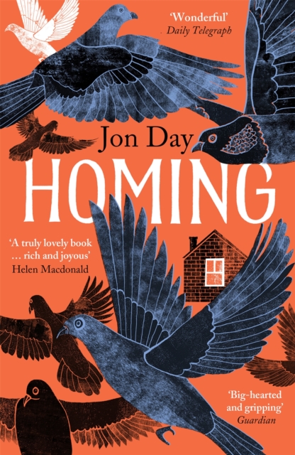 Homing : On Pigeons, Dwellings and Why We Return, Paperback / softback Book