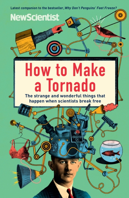 How to Make a Tornado : The strange and wonderful things that happen when scientists break free, EPUB eBook