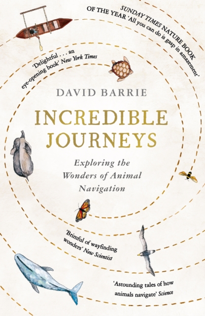 Incredible Journeys : Sunday Times Nature Book of the Year 2019, EPUB eBook