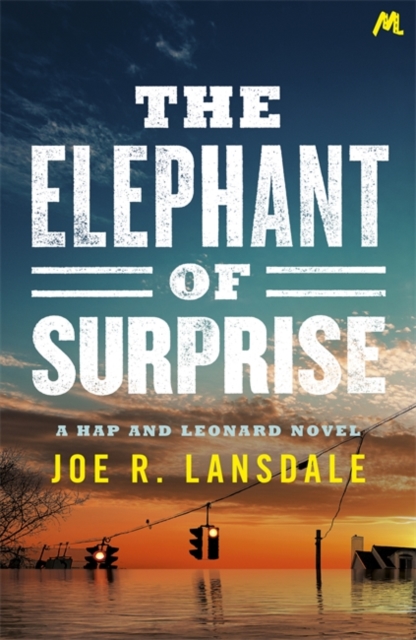 The Elephant of Surprise, Paperback / softback Book