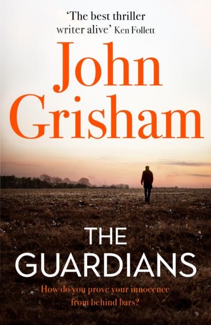 The Guardians : The Sunday Times Bestseller, EPUB eBook