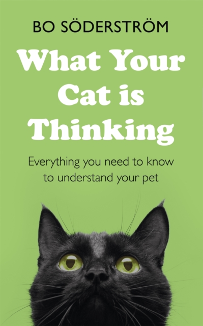 What Your Cat Is Thinking : Everything you need to know to understand your pet, Paperback / softback Book