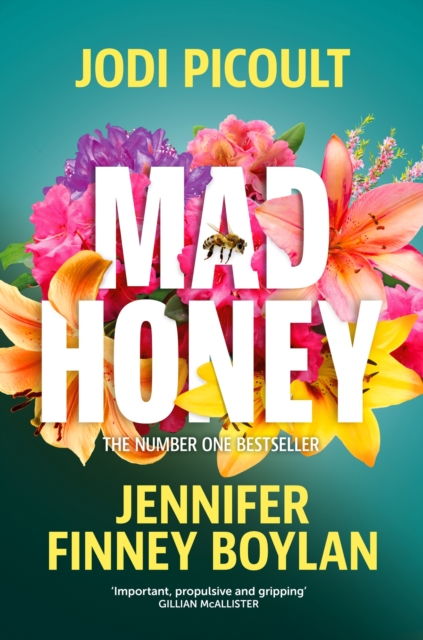 Mad Honey : an absolutely heart-pounding and heart-breaking book club novel, Paperback / softback Book