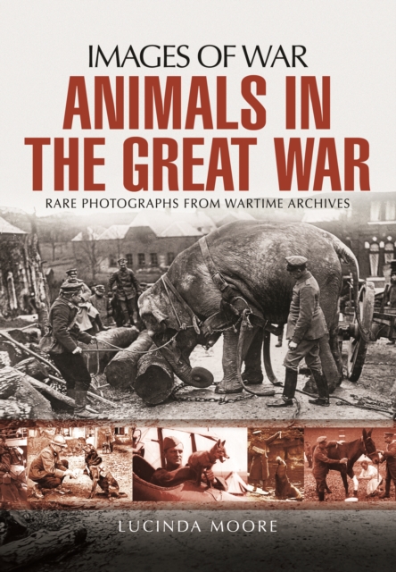 Animals in the Great War, Paperback / softback Book