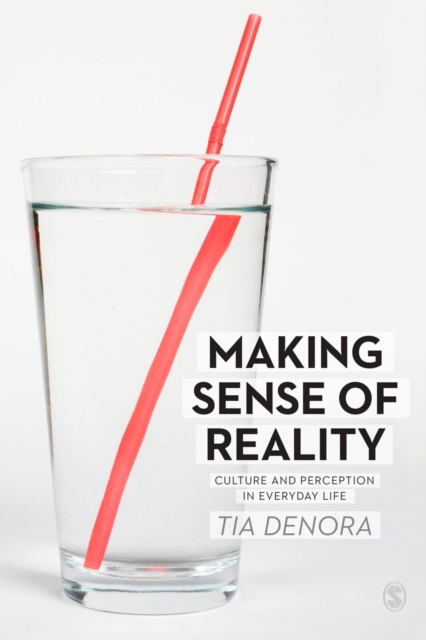Making Sense of Reality : Culture and Perception in Everyday Life, PDF eBook