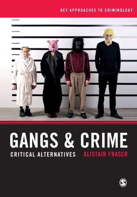 Gangs & Crime : Critical Alternatives, Paperback / softback Book