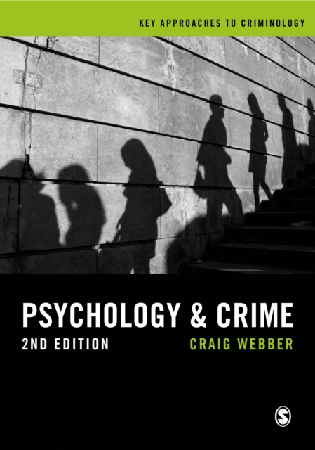 Psychology and Crime : A Transdisciplinary Perspective, PDF eBook