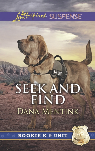 Seek And Find, EPUB eBook