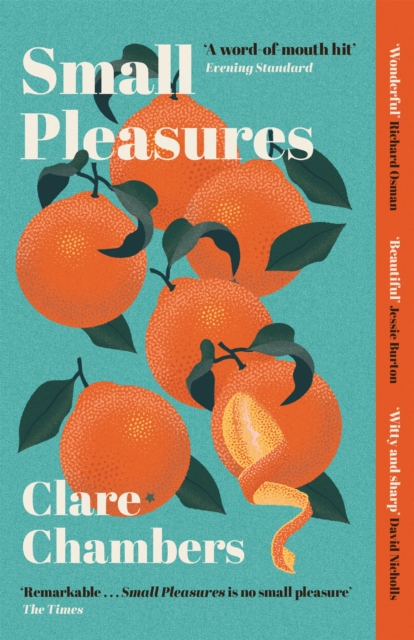 Small Pleasures : Longlisted for the Women's Prize for Fiction 2021, Paperback / softback Book