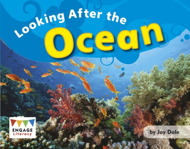 Looking After the Ocean, PDF eBook