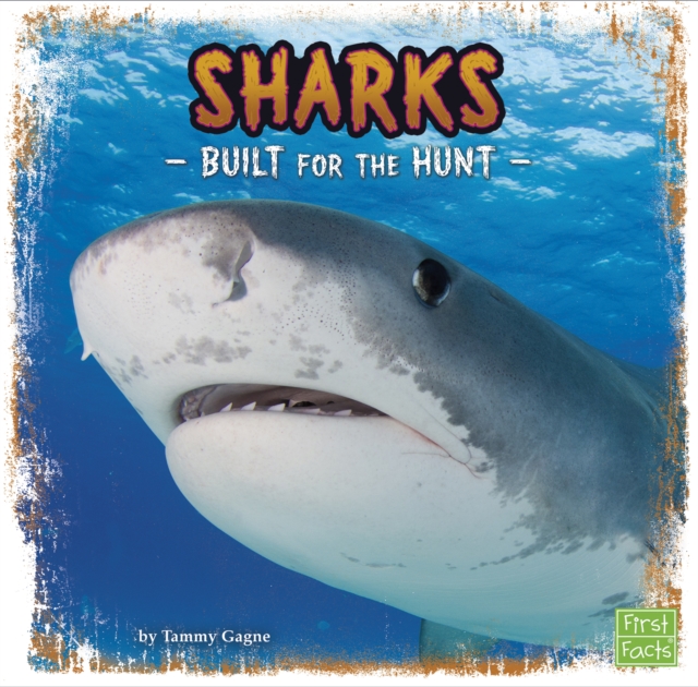 Sharks : Built for the Hunt, PDF eBook