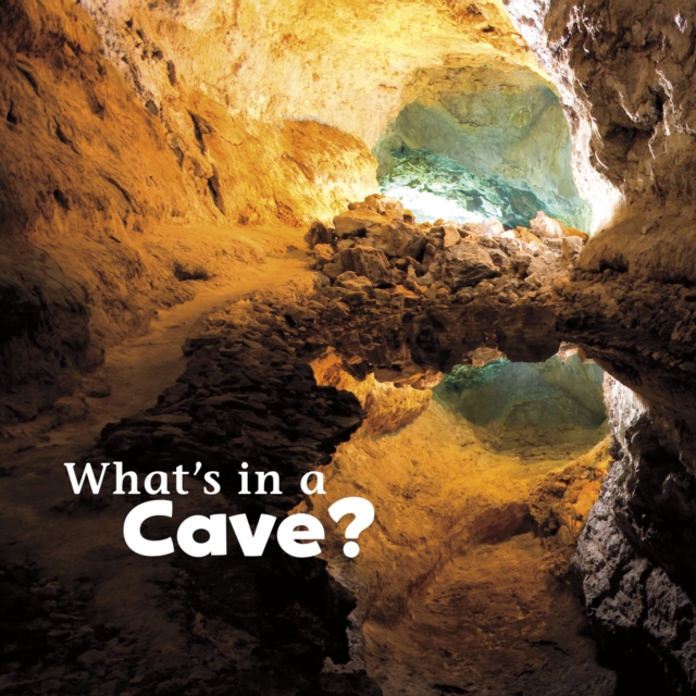 What's in a Cave?, PDF eBook