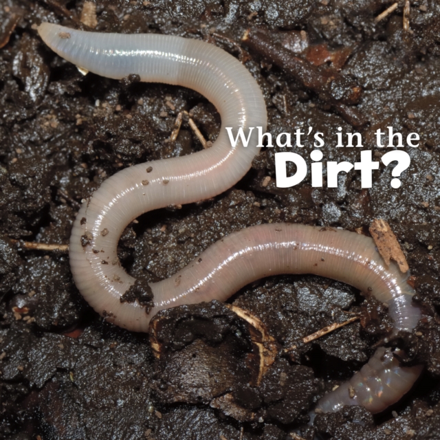 What's in the Soil?, PDF eBook