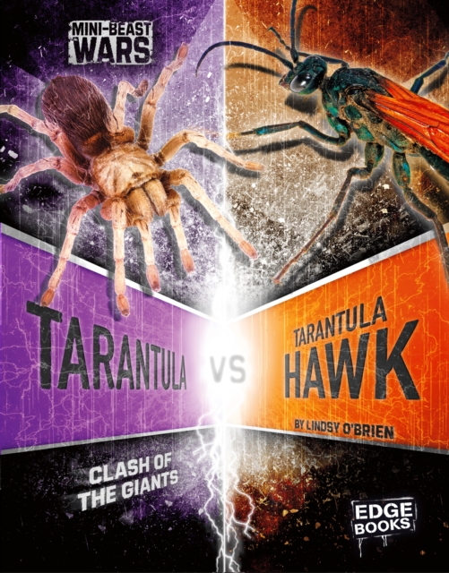 Tarantula vs Tarantula Hawk : Clash of the Giants, PDF eBook