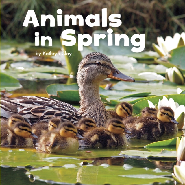 Animals in Spring, PDF eBook