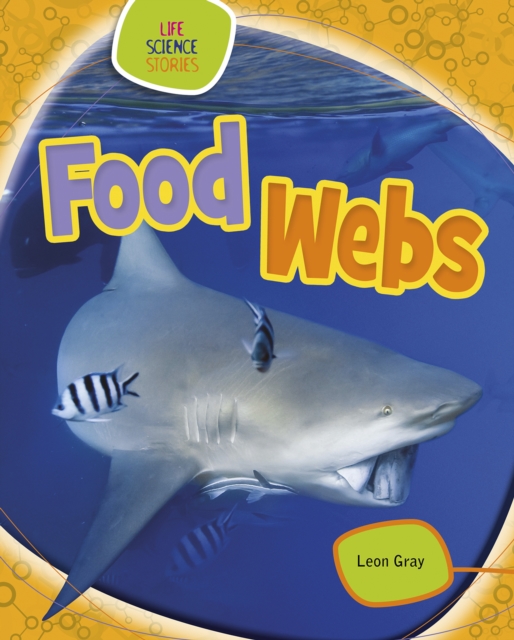 Food Webs, Paperback / softback Book