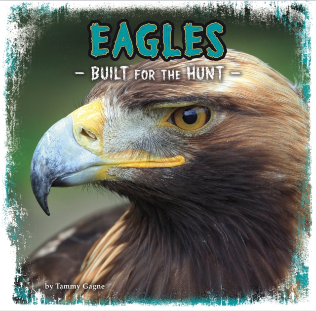 Eagles : Built for the Hunt, PDF eBook